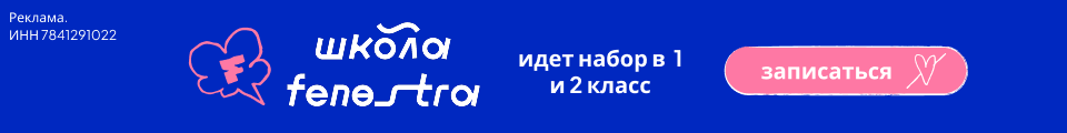 Школа Фенестра